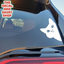 Peeking Cat Kitten Face Funny Car Vinyl Window Decal Sticker Car Truck Suv 486