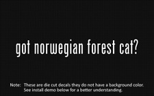 2x Got Norwegian Forest Cat Sticker Die Cut Decal