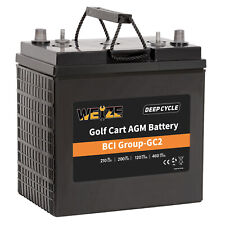 Weize Golf Cart Battery 6v 210ah Bci Group Gc2 Deep Cycle Agm Scrubber Battery