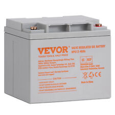 Vevor Deep Cycle Battery 12v 40 Ah Agm Marine Rechargeable Batterycertified