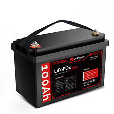 Dr. Prepare 12v 100ah Lifepo4 Lithium Deep Cycle Battery10-year Warranty