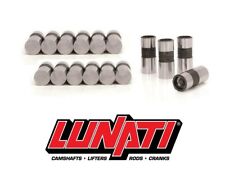 Lunati Lifter Set Hydraulic Flat Tappet .842 Chevy Sbc Bbc 350 400 396 454 502