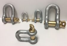 Anchor Screw Pin Chain Shackle Clevis D Ring Bow Lifting Sizes 14 To 1