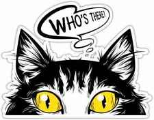 Whos There Kitten Cat Pet Funny Car Bumper Vinyl Sticker Decal 5x4