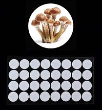 32 Synthetic Filter Paper Stickers 20mm 0.3 M Filter Disc Mushroom Cultivation