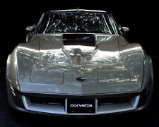 Corvette Chevrolet Stingray Race Car Chevy Classic Hot Rod Metal Promo Model1980